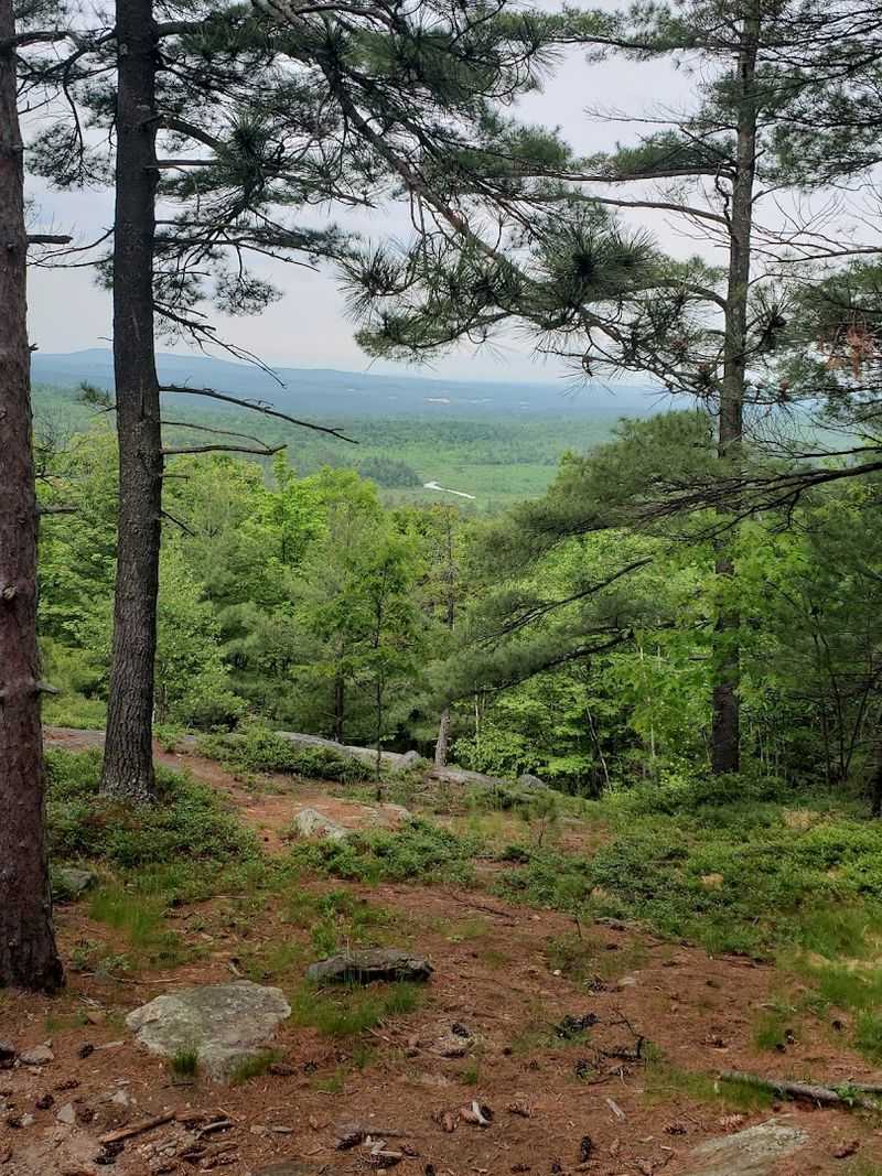 These 10 New Hampshire Easy Hikes That Save The Best Views For The Top - Decor Hint Blue Job Mountain, Strafford/Farmington