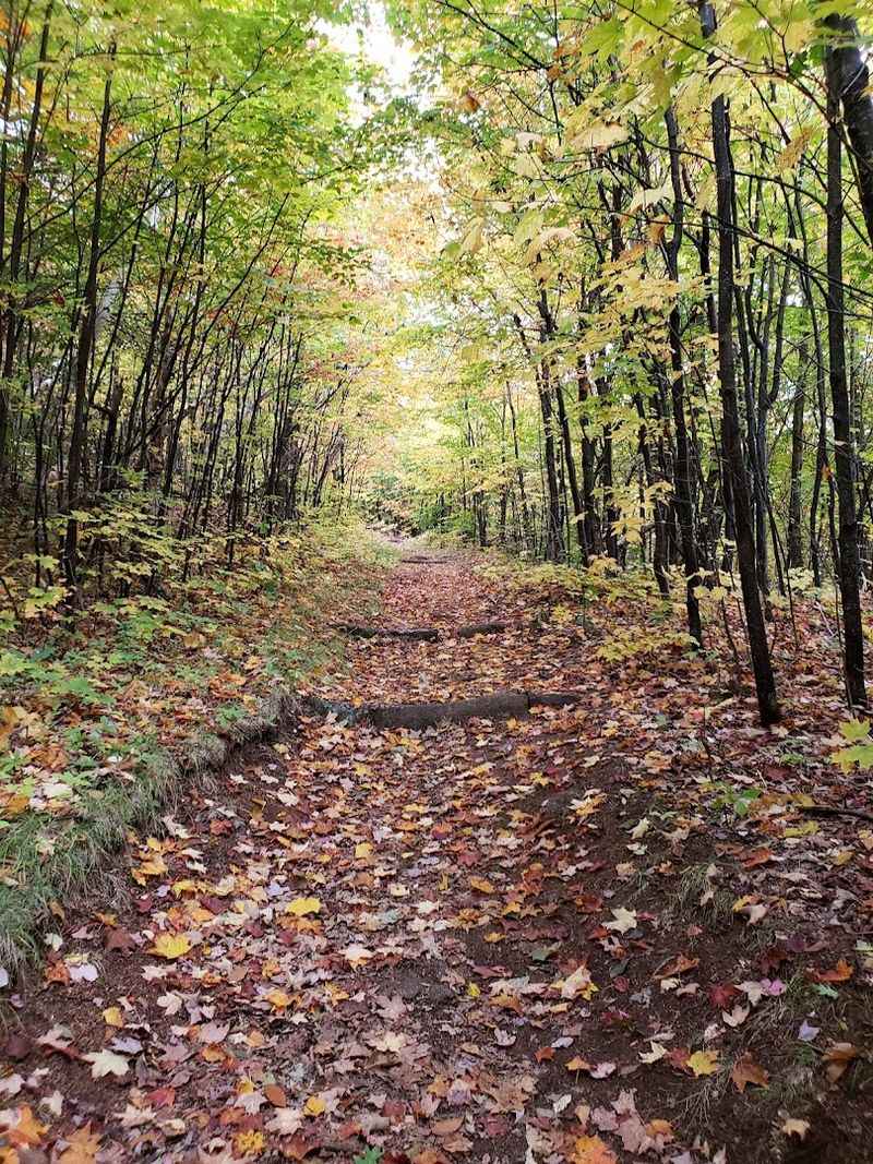 These 10 New Hampshire Easy Hikes That Save The Best Views For The Top - Decor Hint Black Cap Mountain, Conway