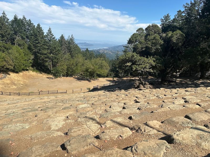 Mount Tamalpais State Park Rock Spring Area