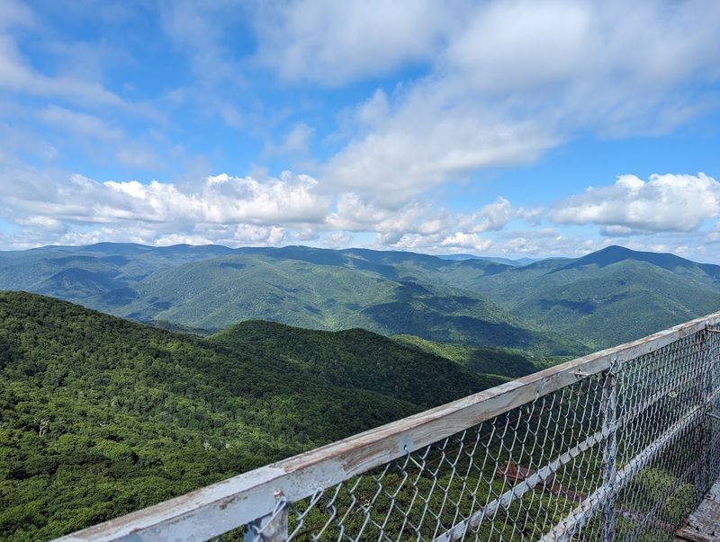 The Parkway Pull-Off Hides A Serious Summer View