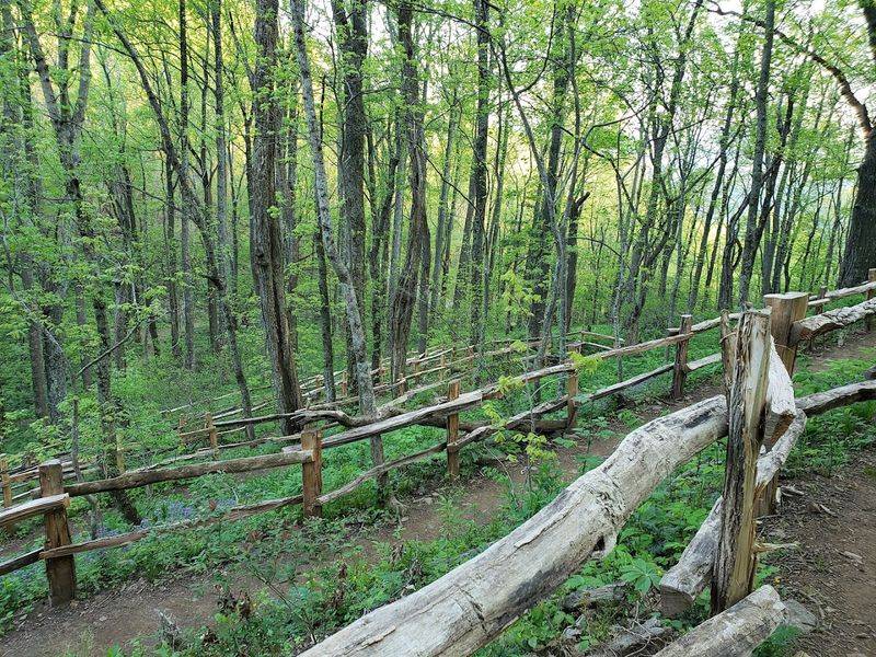 Rattlesnake Lodge Trail