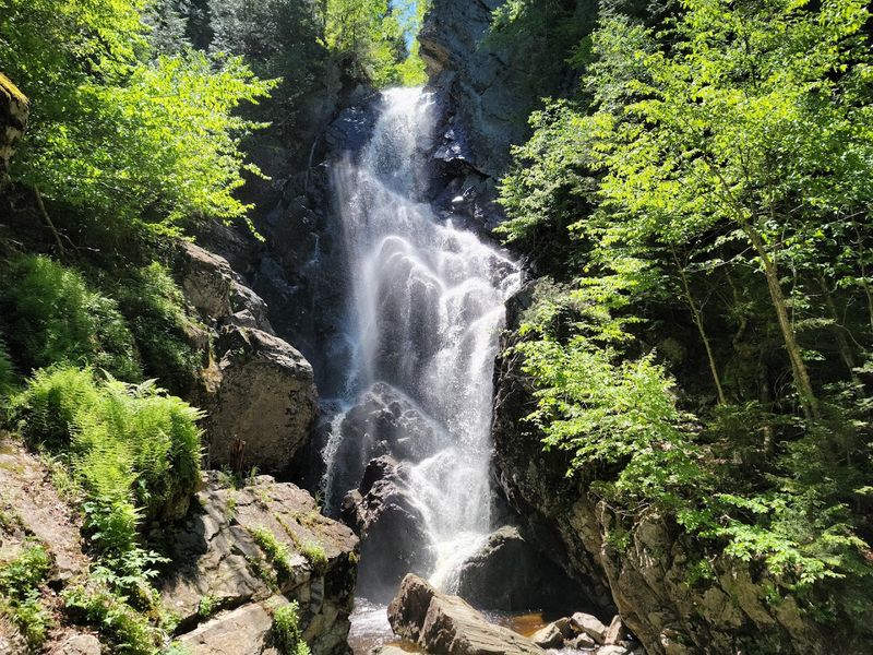 Angel Falls Trail