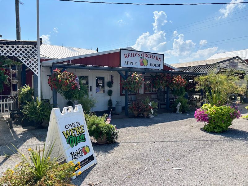 Reid's Orchard, Owensboro