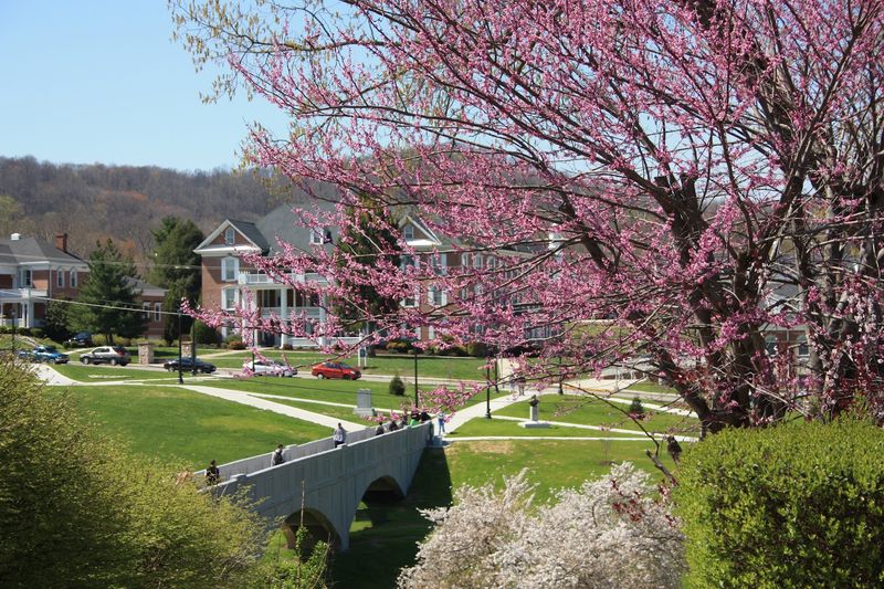 University Of The Cumberlands - 6178 College Station Dr, Williamsburg, KY 40769