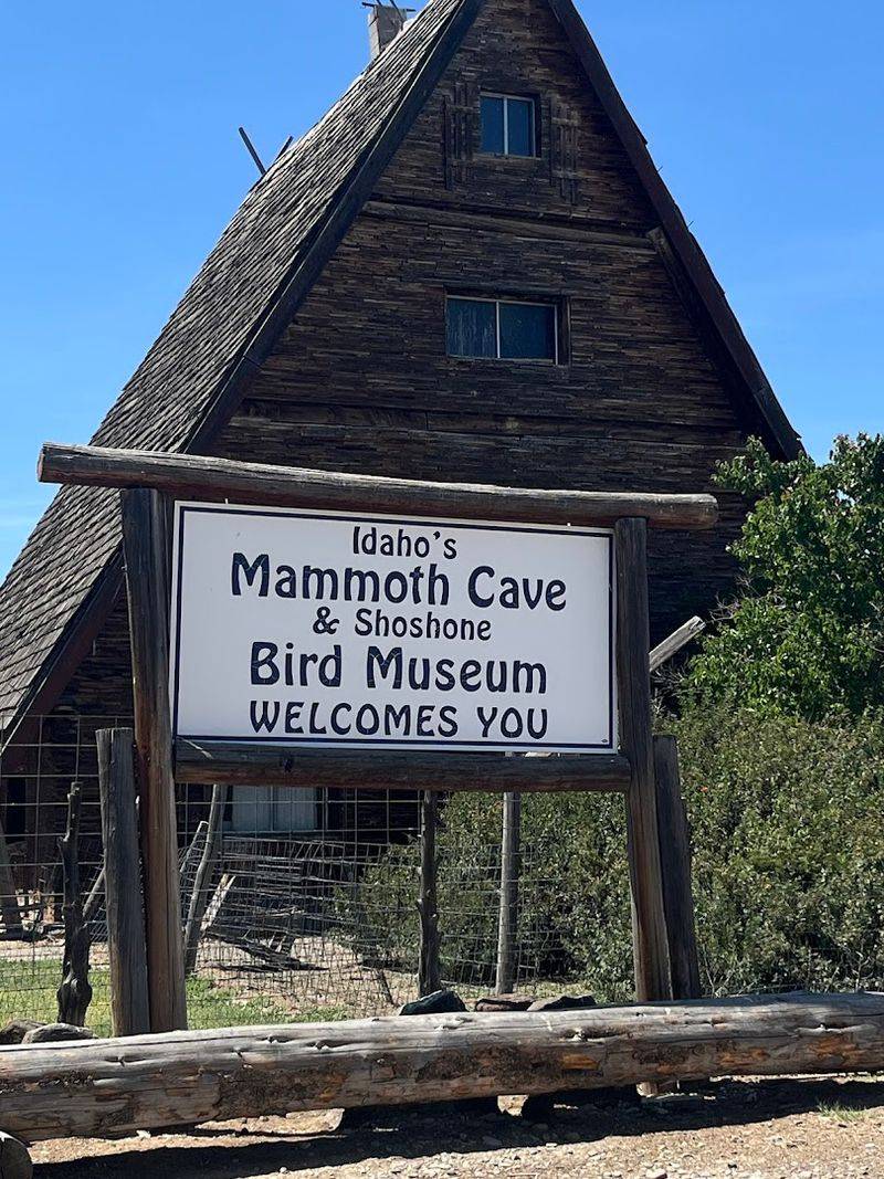 Idaho's Mammoth Cave And Shoshone Bird Museum Of Natural History, Shoshone