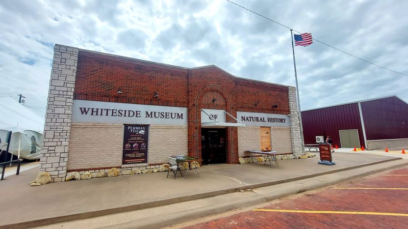 These 10 Texas Museums Turn Ordinary Afternoons Into Memorable Stories - Decor Hint The Whiteside Museum Of Natural History, West Texas