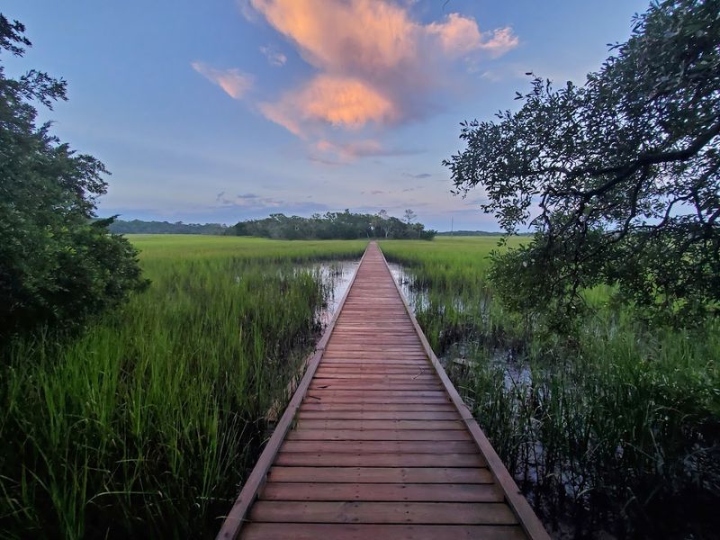 Edisto Beach State Park