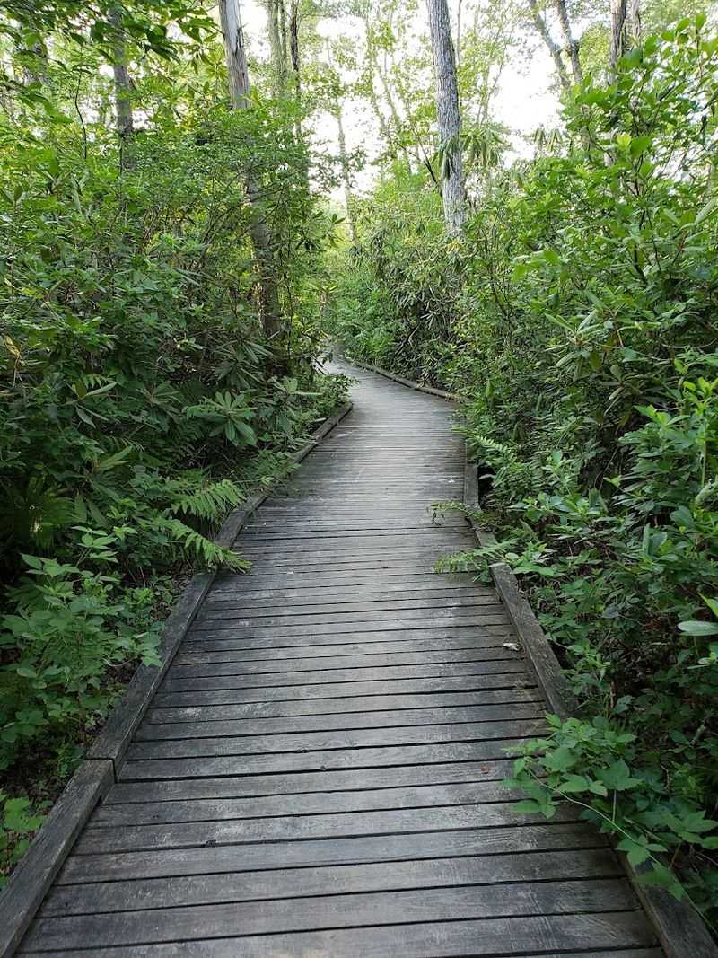 Mount Misery Trail