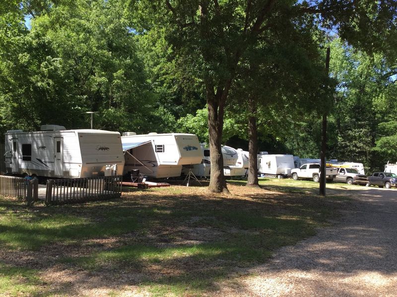 10 Louisiana Campgrounds That Make It Easy To Escape The Crowds - Decor Hint Peaceful Pines RV Park & Campground, St. Francisville
