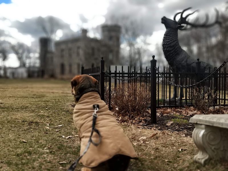 Events That Bring The Castle Alive