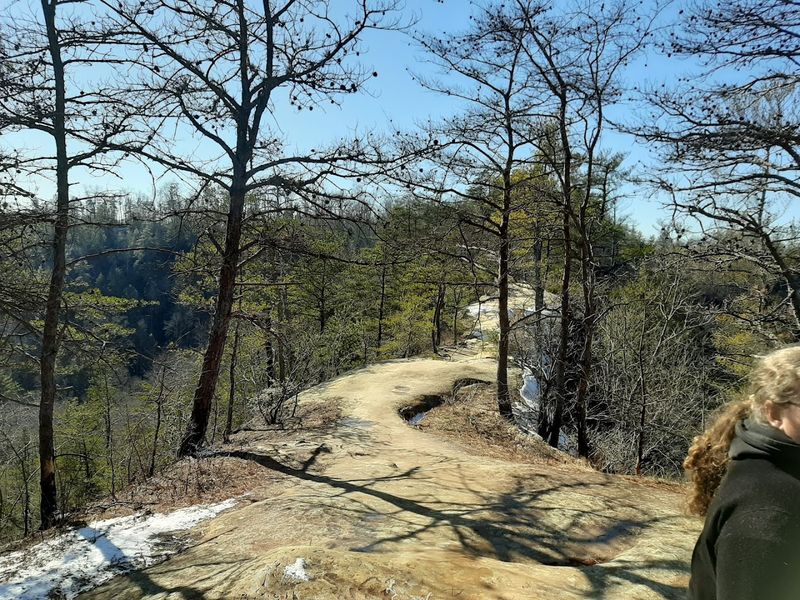 Sky Bridge Overlook With Panoramic Views