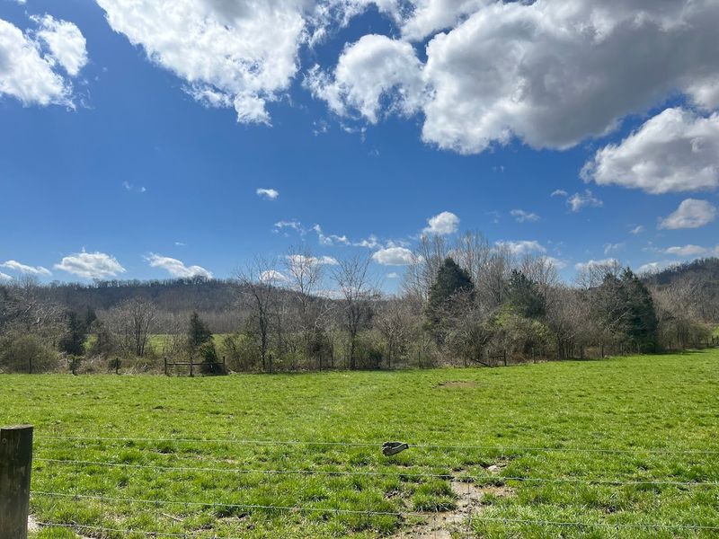 These 14 Kentucky Birdwatching Destinations Feel Like Hidden Front-Row Seats To Nature - Decor Hint Big Bone Lick State Historic Site