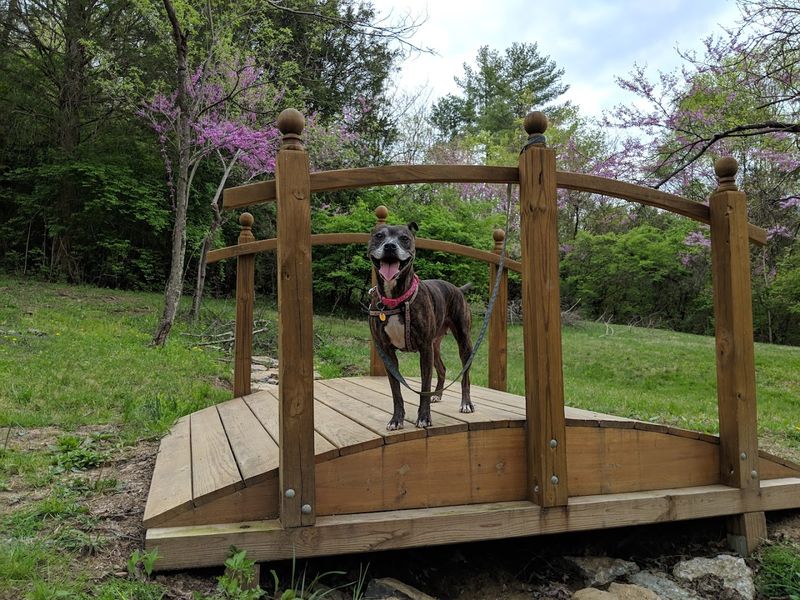 Highland Heights Nature Trail