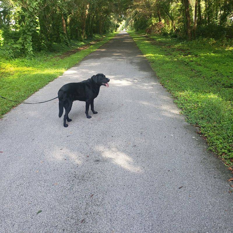 This Bike Trail In Florida Strings Together Four Charming Towns - Decor Hint Best Times To Ride Here