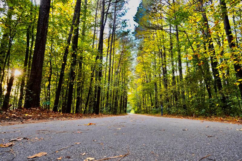 Low-Impact Exercise That Works For Runners And Cyclists Equally