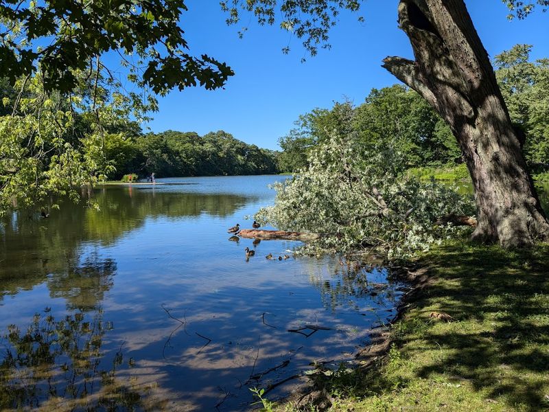 Meshanticut State Park Loop, Cranston