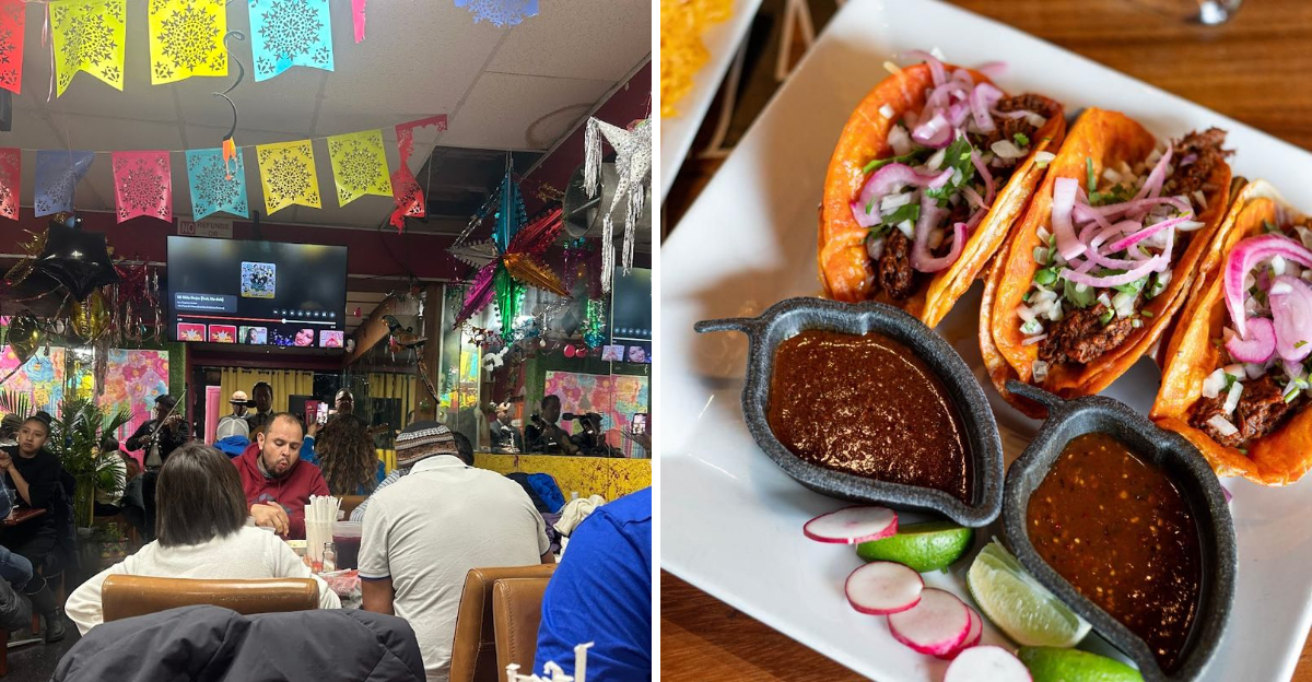 New York Mexican Restaurants Serving Tacos Mole And Plenty More - Decor Hint