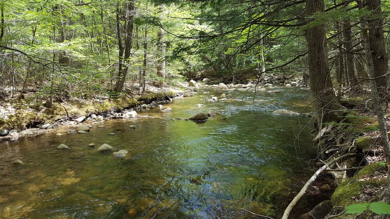 10 New Hampshire Lakeside Towns That Are Perfect For A Quiet Getaway - Decor Hint Ossipee, Ossipee Lake