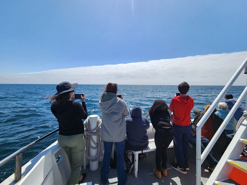San Diego, San Diego Bay