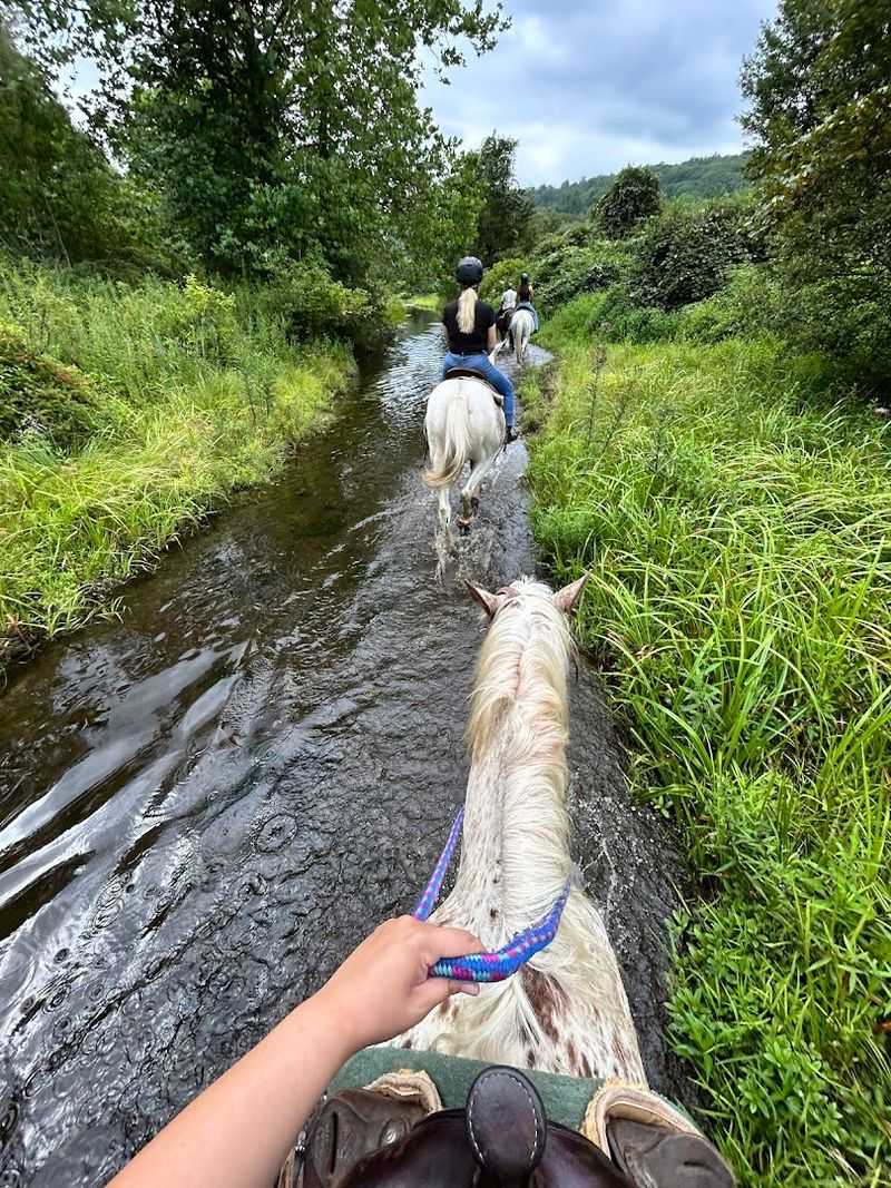 Pastures, Woods, Creeks, And Quiet Trails