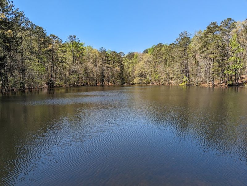 The Georgia Mountain Bike Trail That Feels Like Traveling Back In Time - Decor Hint The Peaceful Pond That Invites You To Slow Down