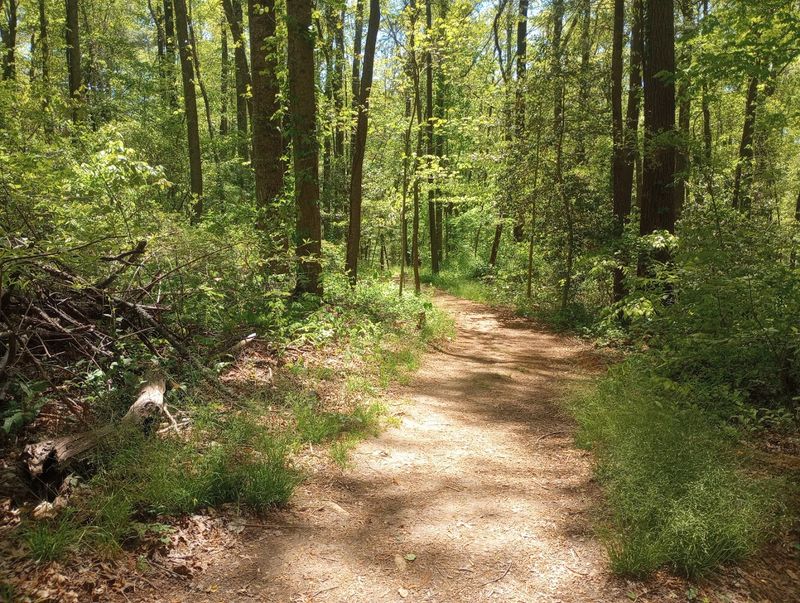 Mountains-To-Sea Trail At Craven Gap