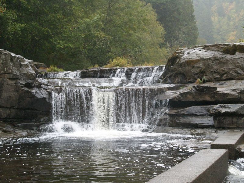 These 9 Oregon Swimming Holes Are So Beautiful Locals Will Lie About Where They Are - Decor Hint Smith River Falls, Siuslaw National Forest
