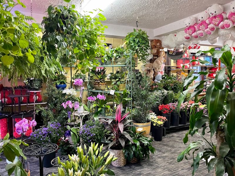 House Of Flora Flowers And More, West Hartford