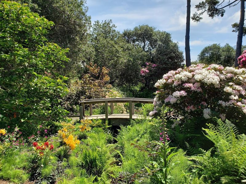 Your First Visit To This 47-Acre Magical Botanical Garden Hiding In California Will Stay With You - Decor Hint Seasonal Blooms Keep The Place Feeling Different Every Time