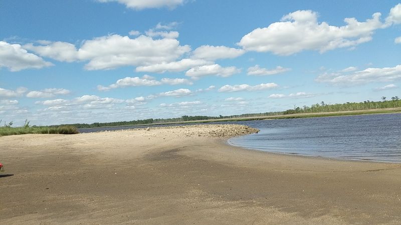 Shark Tooth Island