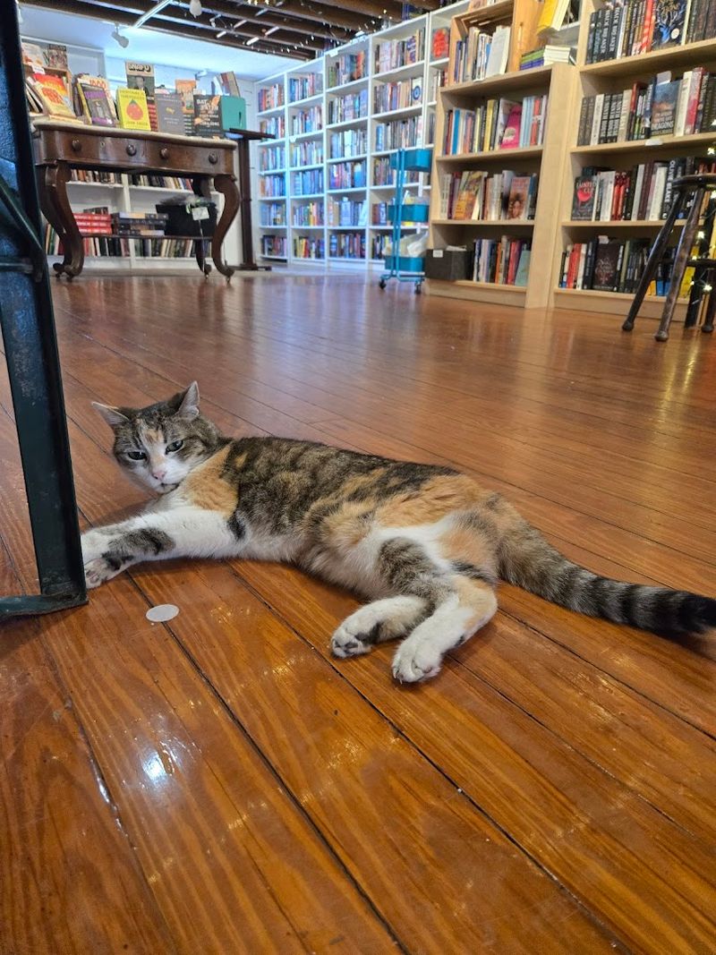 Blue Cypress Books