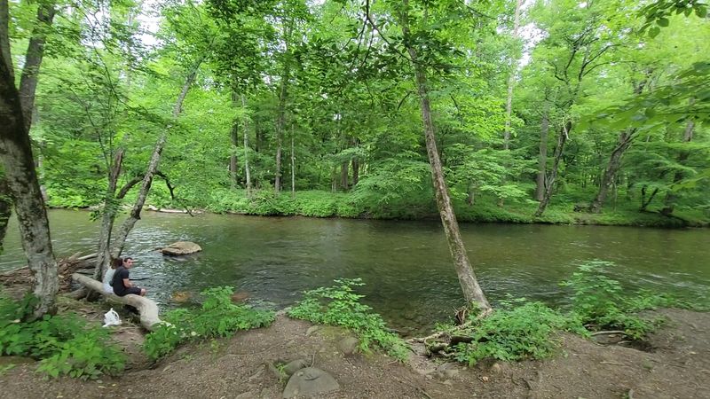 This North Carolina Mountain Farm Museum Feels Like Walking Into Appalachian History - Decor Hint The Oconaluftee River Trail Starts Right Nearby