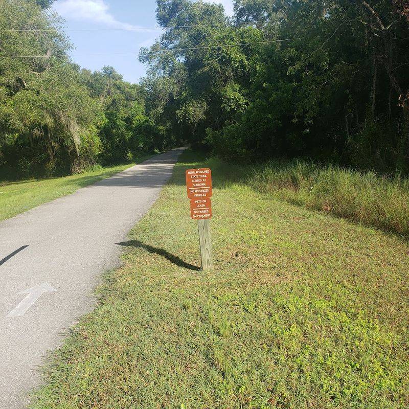 This Bike Trail In Florida Strings Together Four Charming Towns - Decor Hint Nature Surrounds Every Mile