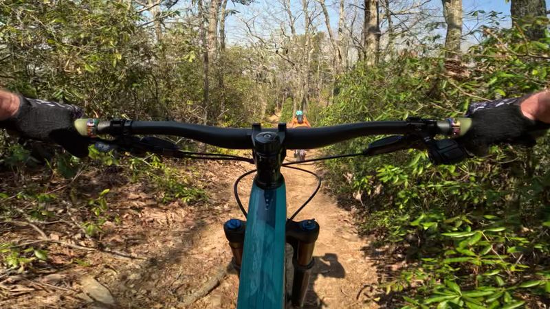 This North Carolina Trailhead Leads To A Mountain View Worth The Climb - Decor Hint Hikers And Mountain Bikers Share The Same Rugged Climb