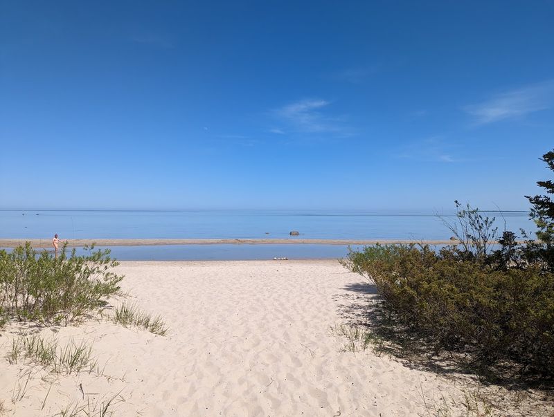 A Lake Huron Shoreline Worth Every Step