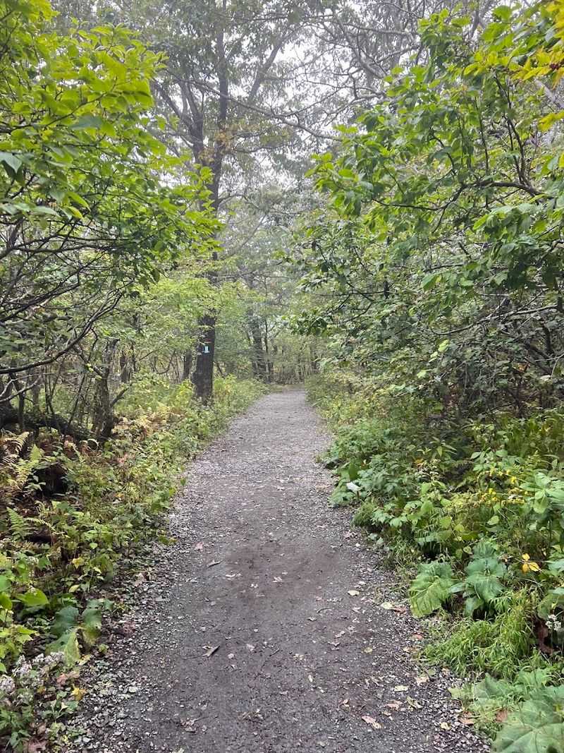 Hawksbill Mountain, Shenandoah National Park, Madison/Page County Border