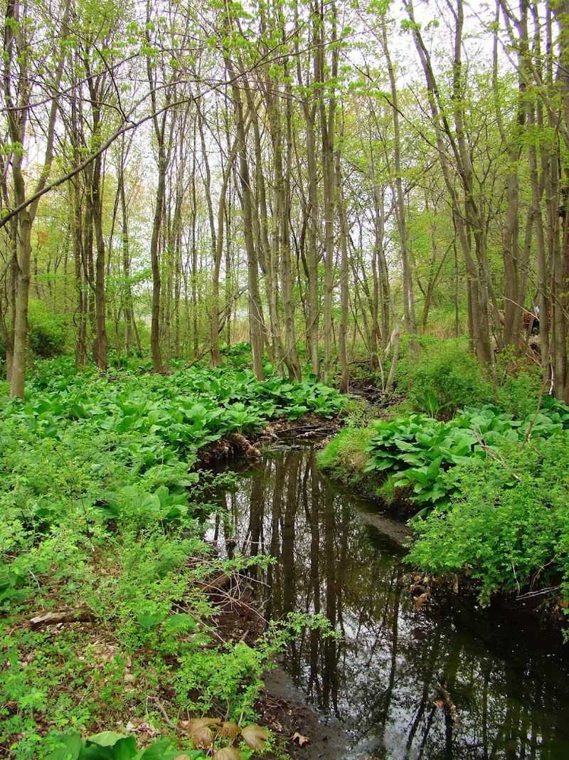 These 11 Charming Connecticut Towns Make Retirement Feel Surprisingly Affordable - Decor Hint Glastonbury