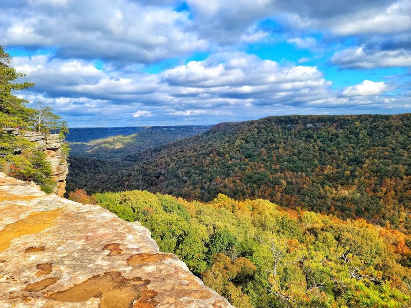 Savage Gulf State Park