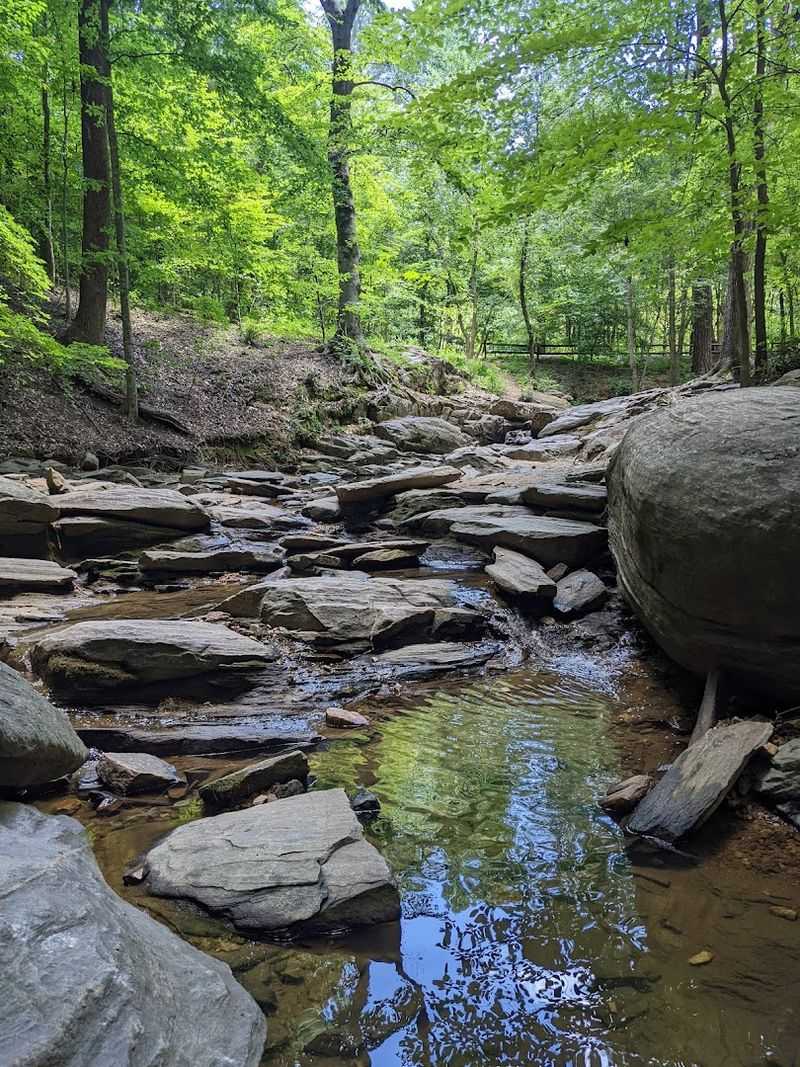 Dunwoody Nature Center