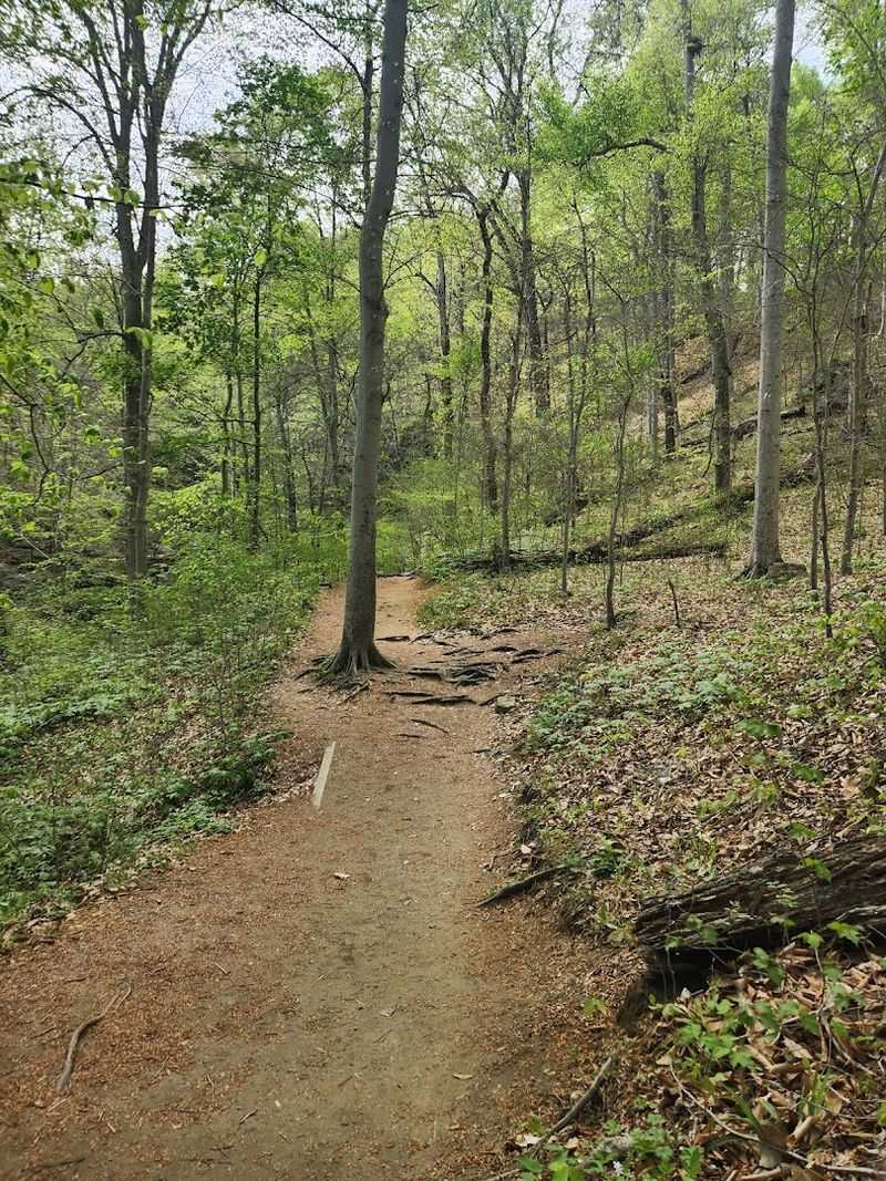 Cascade Falls Trail, Patapsco Valley State Park, Elkridge