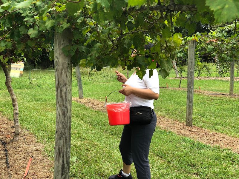 This Durham Farm Feels Peaceful Without Feeling Far Away