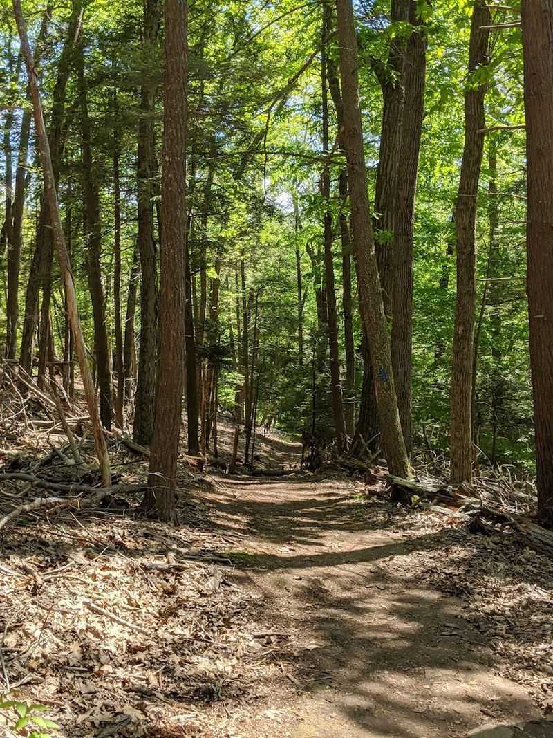 Why This Park Wins Dog Parents Over