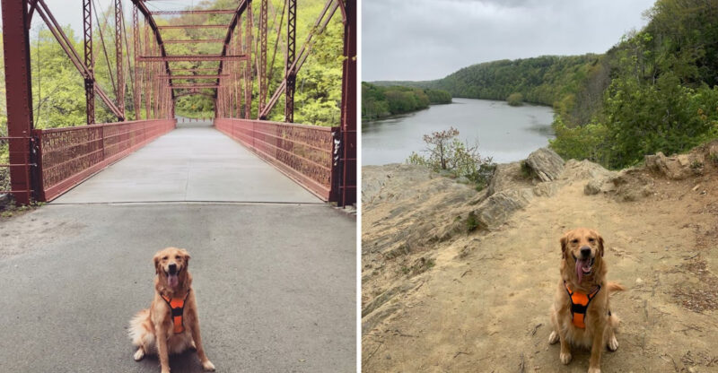 One Of Connecticut’s Most Dog-Friendly State Parks Deserves A Visit With Your Pup