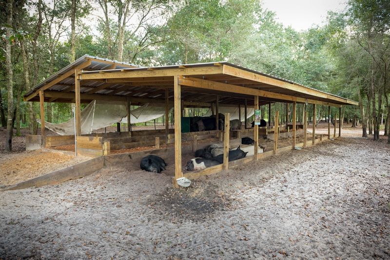 What You Should Know About The Sanctuary