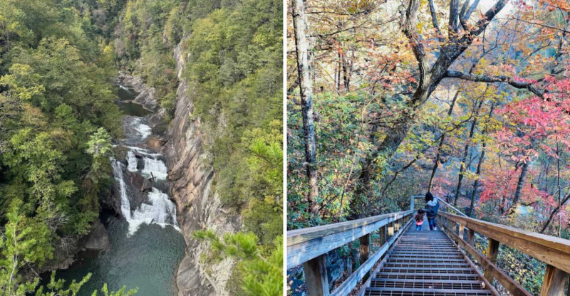 One Of The Most Spectacular Gorges In The Eastern United States Sits In North Georgia And You Can Hike To Its Floor