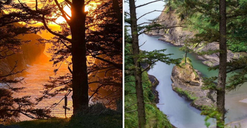 One Secret Stretch Of Washington Coastline Is Stunning Beyond Words