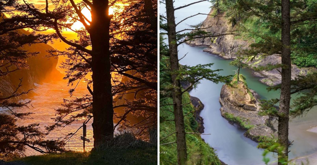 One Secret Stretch Of Washington Coastline Is Stunning Beyond Words - Decor Hint