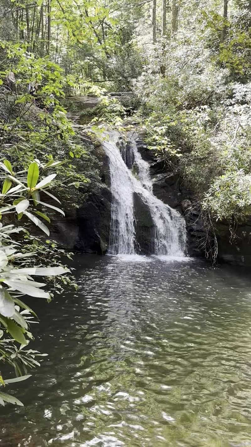 Rope Swing And Cliff Jumping For Thrill Seekers