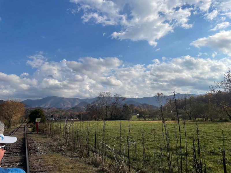 Andrews Valley Rail Tours Turns Rail History Into A Fresh Outdoor Escape