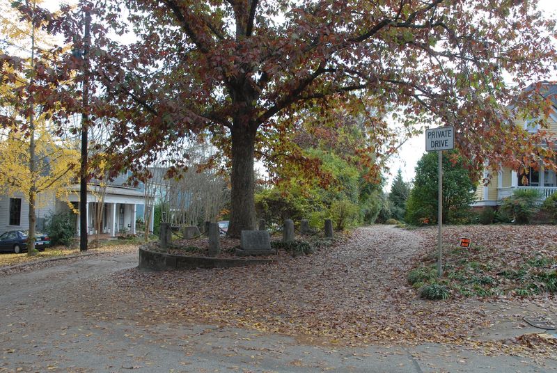 There Is An Ancient Tree In Georgia That Legally Owns Itself And The Ground Around It - Decor Hint Perfectly Rated By Hundreds Of Real Visitors